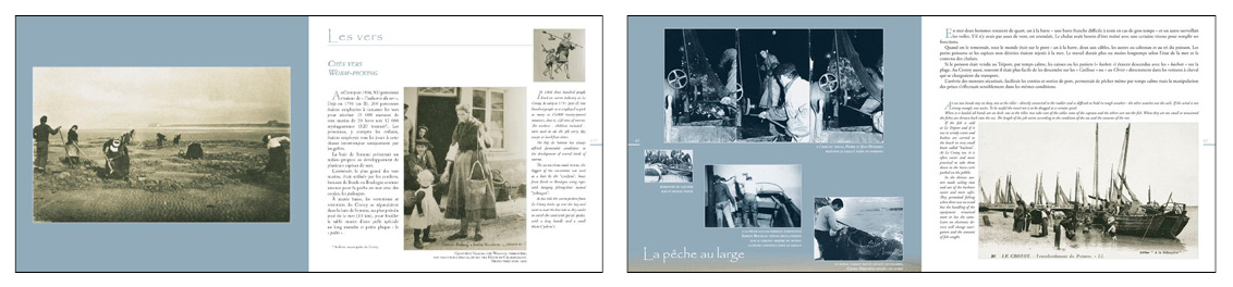 vignettes VDP